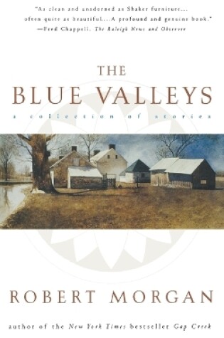 Cover of Blue Valley