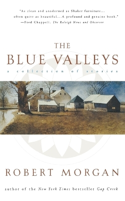 Book cover for Blue Valley