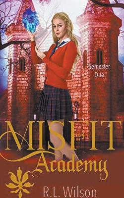 Book cover for Misfit Academy
