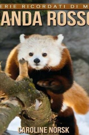 Cover of Panda Rosso