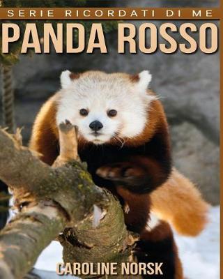 Book cover for Panda Rosso