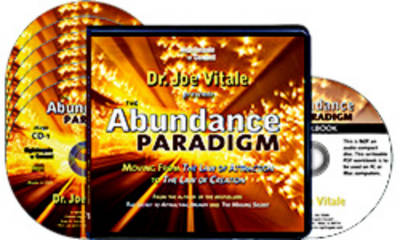 Book cover for The Abundance Paradigm