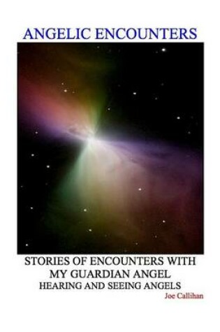 Cover of Angelic Encounters