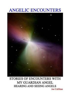 Book cover for Angelic Encounters