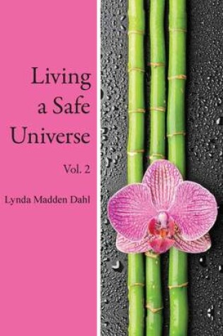 Cover of Living a Safe Universe, Vol. 2