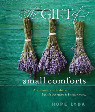 Book cover for The Gift of Small Comforts