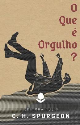 Book cover for O Que e Orgulho?