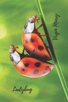 Book cover for Ladybug. Virgin Mary