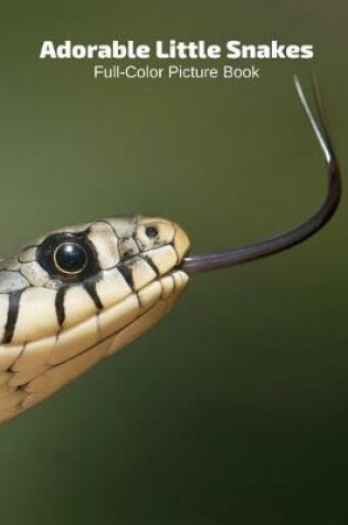 Cover of Adorable Snakes Full-Color Picture Book