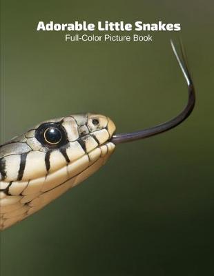 Book cover for Adorable Snakes Full-Color Picture Book