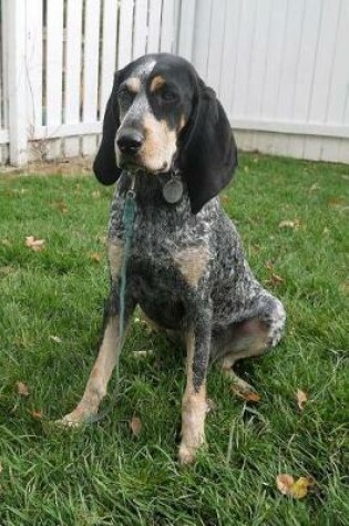 Cover of Bluetick Coonhound Dog Sitting in the Grass Journal