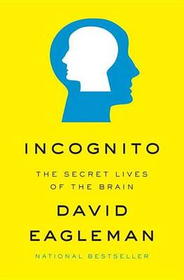 Book cover for Incognito