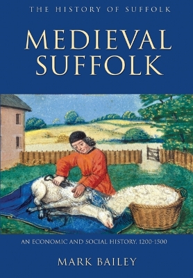 Book cover for Medieval Suffolk: An Economic and Social History, 1200-1500