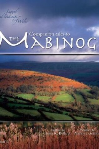 Cover of Companion Tales to the Mabinogi
