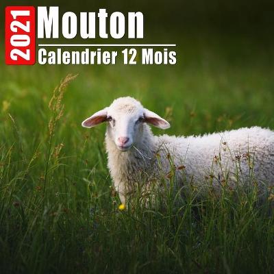 Book cover for Calendrier 2021 Mouton