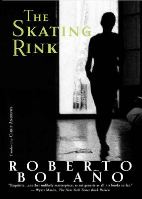 Book cover for The Skating Rink