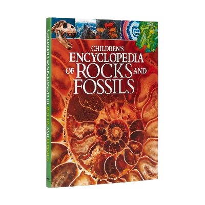 Cover of Children's Encyclopedia of Rocks and Fossils