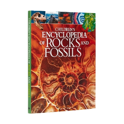 Book cover for Children's Encyclopedia of Rocks and Fossils