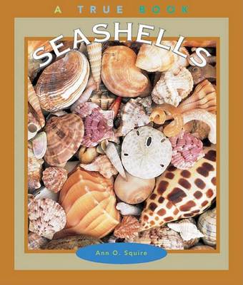 Book cover for Seashells