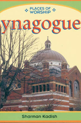 Cover of Places of Worship: Synagogues Paperback