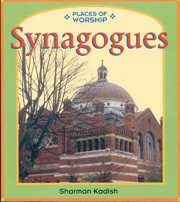 Book cover for Places of Worship: Synagogues Paperback