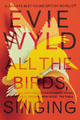 Book cover for All the Birds, Singing