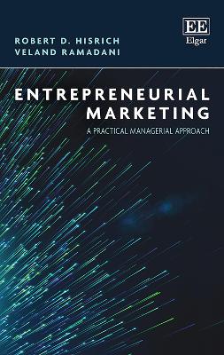 Cover of Advanced Introduction to Entrepreneurship