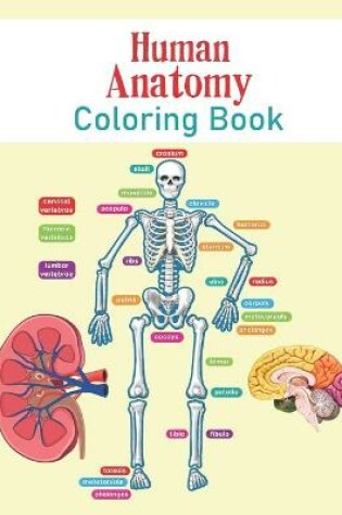 Cover of Human Anatomy Coloring Book