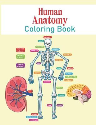 Book cover for Human Anatomy Coloring Book