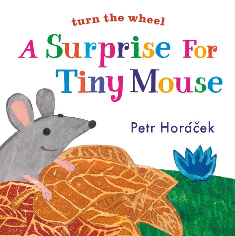 Book cover for A Surprise for Tiny Mouse