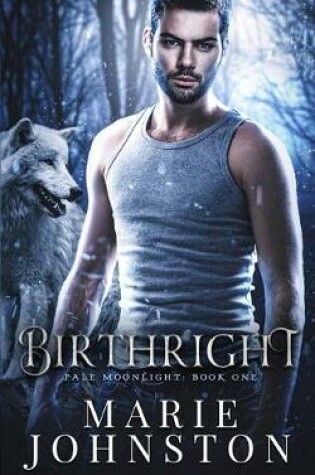 Cover of Birthright