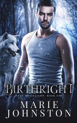 Book cover for Birthright