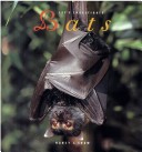 Book cover for Bats