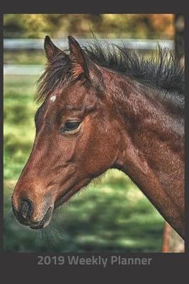 Book cover for Plan on It 2019 Weekly Calendar Planner - Neigh Neigh Says the Horse