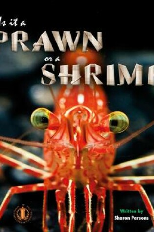 Cover of Is it a Prawn or a Shrimp?