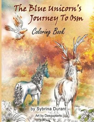 Book cover for The Blue Unicorn's Journey to Osm Coloring Book