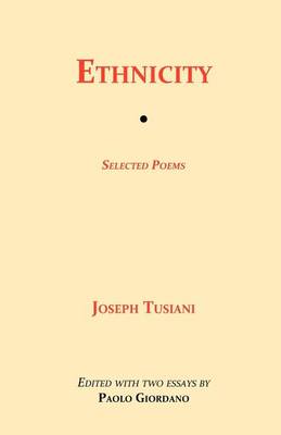 Book cover for Ethnicity