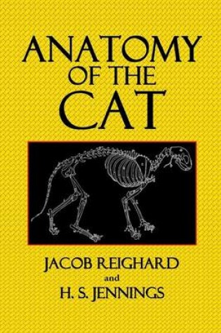 Cover of Anatomy of the Cat