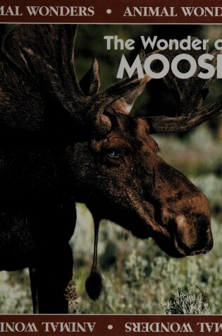 Cover of The Wonder of Moose