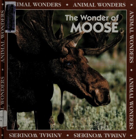 Book cover for The Wonder of Moose