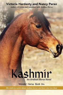 Book cover for Kashmir