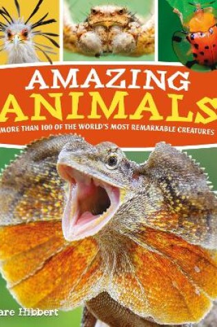 Cover of Amazing Animals