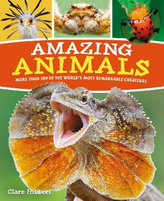 Book cover for Amazing Animals