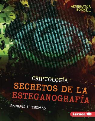 Cover of Secretos de la Esteganografía (Secrets of Steganography)