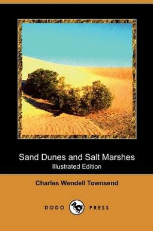 Cover of Sand Dunes and Salt Marshes (Illustrated Edition) (Dodo Press)