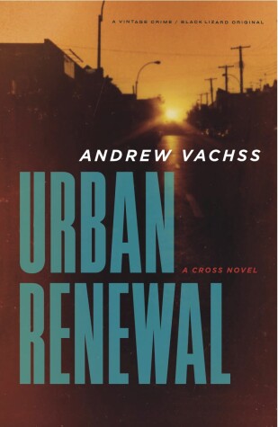 Book cover for Urban Renewal