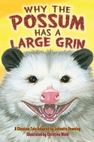Cover of Why the Possum Has a Large Grin