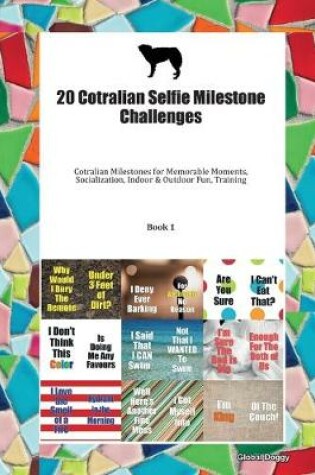 Cover of 20 Cotralian Selfie Milestone Challenges