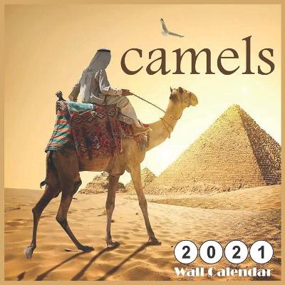 Book cover for camels