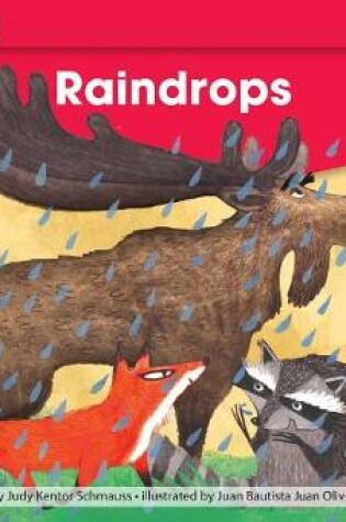 Cover of Raindrops Leveled Text